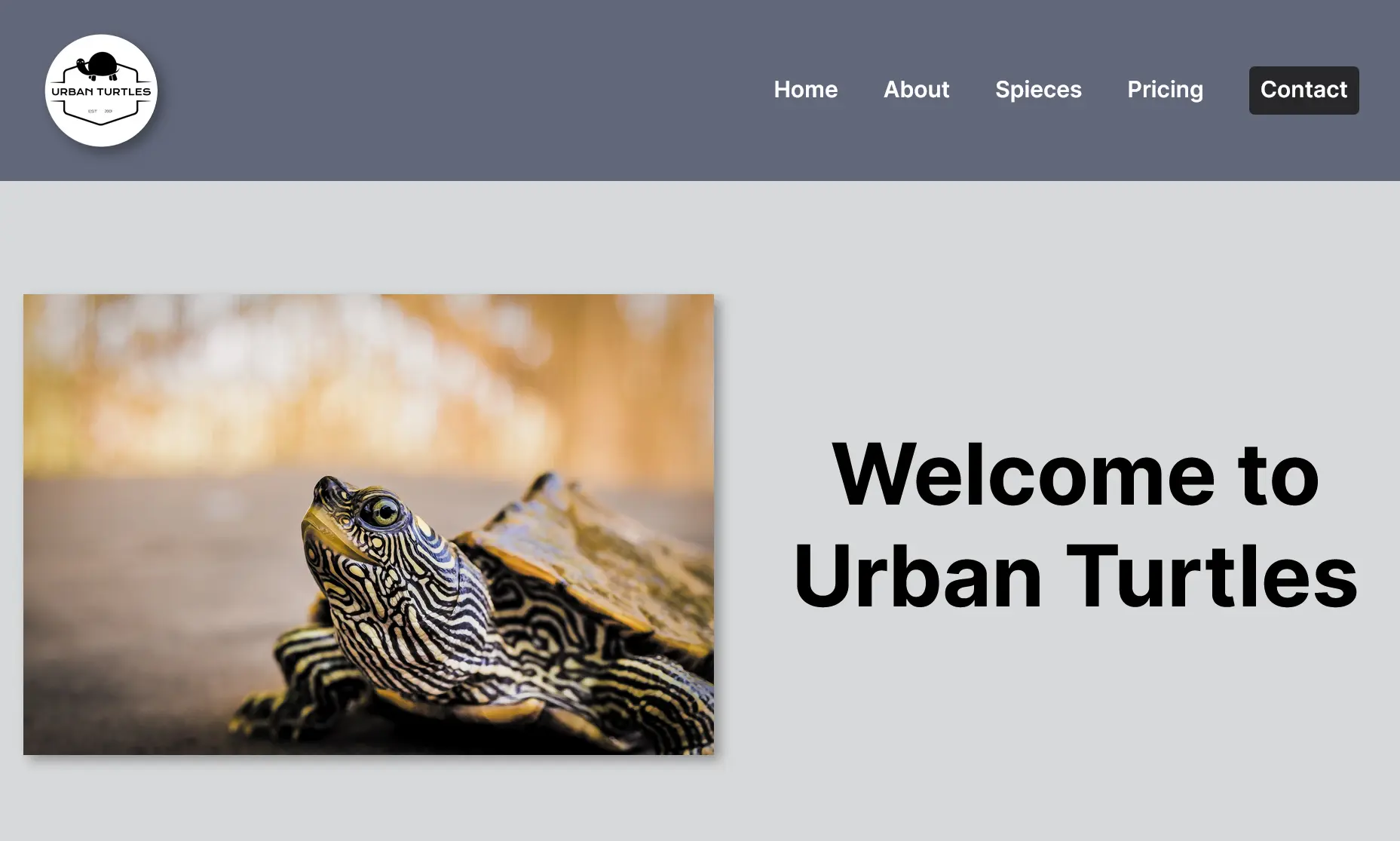 Screenshot of website